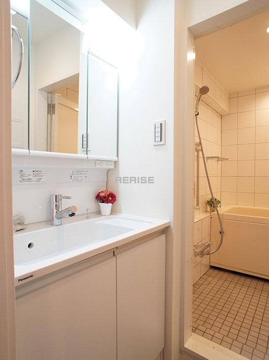 Wash basin, toilet. Vanity with a shower head