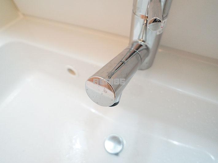 Wash basin, toilet. Vanity with a shower head
