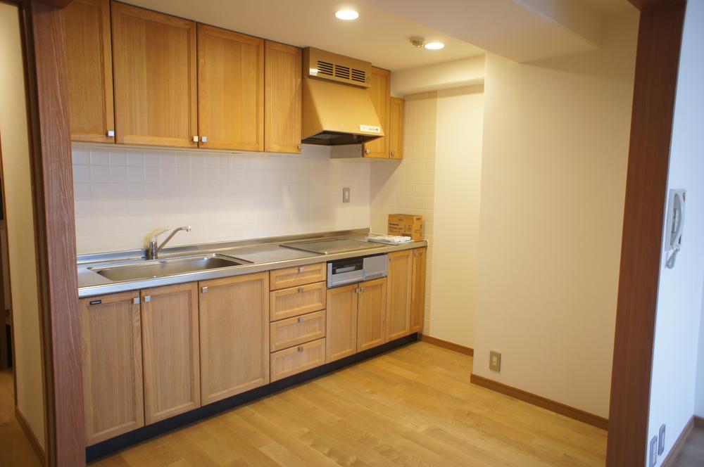 Kitchen. Indoor (12 May 2013) Shooting