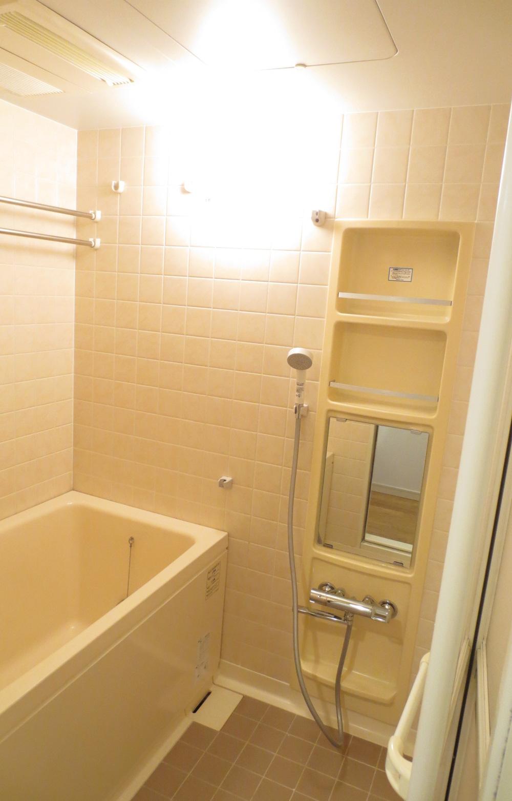 Bathroom. Indoor (12 May 2013) Shooting