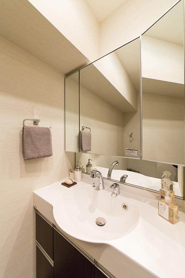 Wash basin, toilet. Vanity with cleanliness