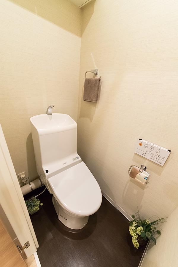 Toilet. Bidet with toilet