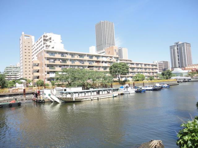 Other. Stunning row of cherry blossom trees of Tsukishima River in spring