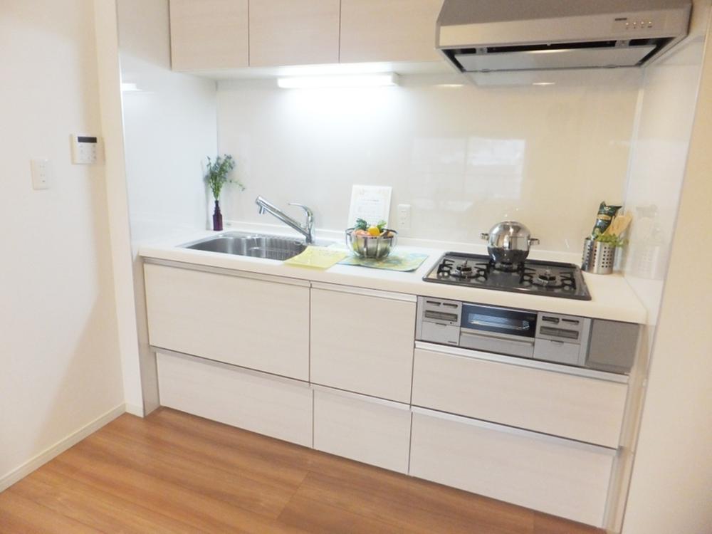 Kitchen. Indoor (11 May 2013) Shooting