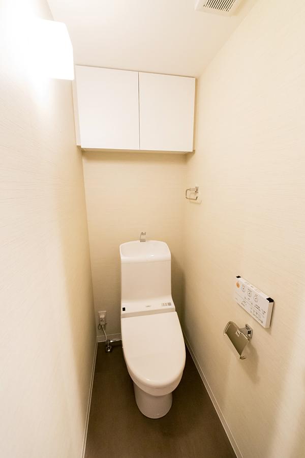 Toilet. TOTO made cleaning toilet seat with toilet