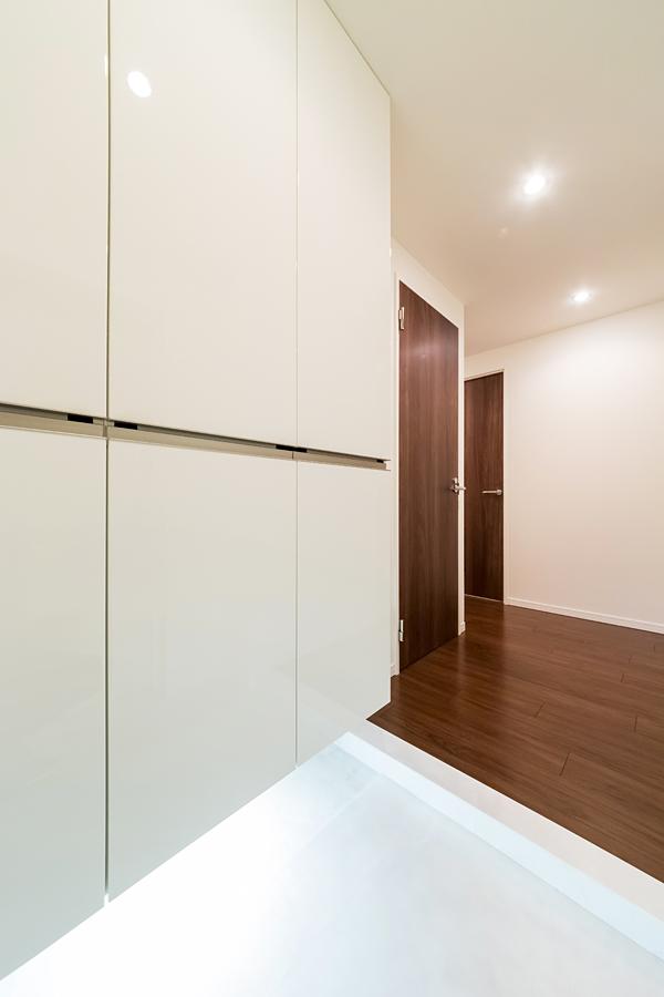 Entrance. Large capacity with a shoe box