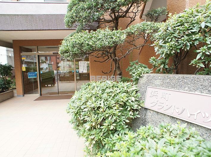 Entrance. Entrance appearance