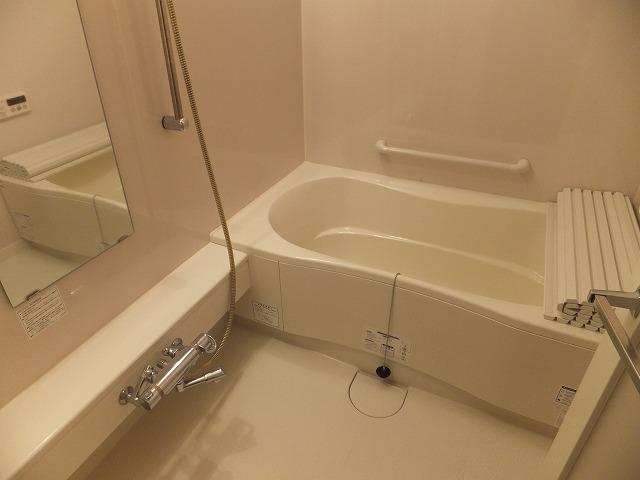 Bathroom. Indoor (12 May 2013) Shooting