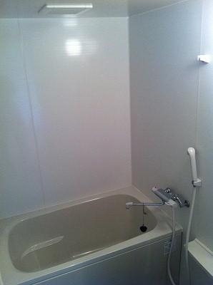 Bathroom. Indoor (12 May 2013) Shooting