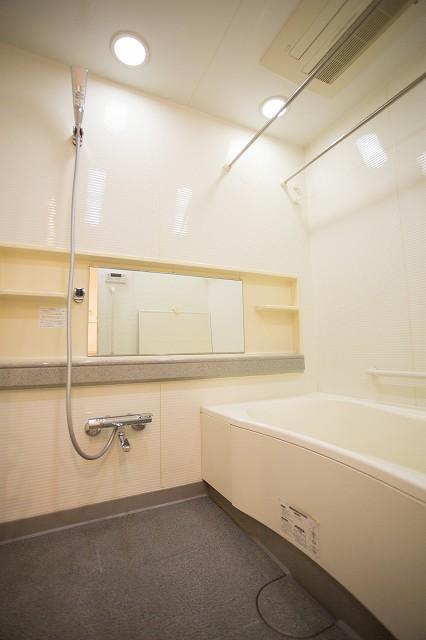 Bathroom. Bathroom with dry