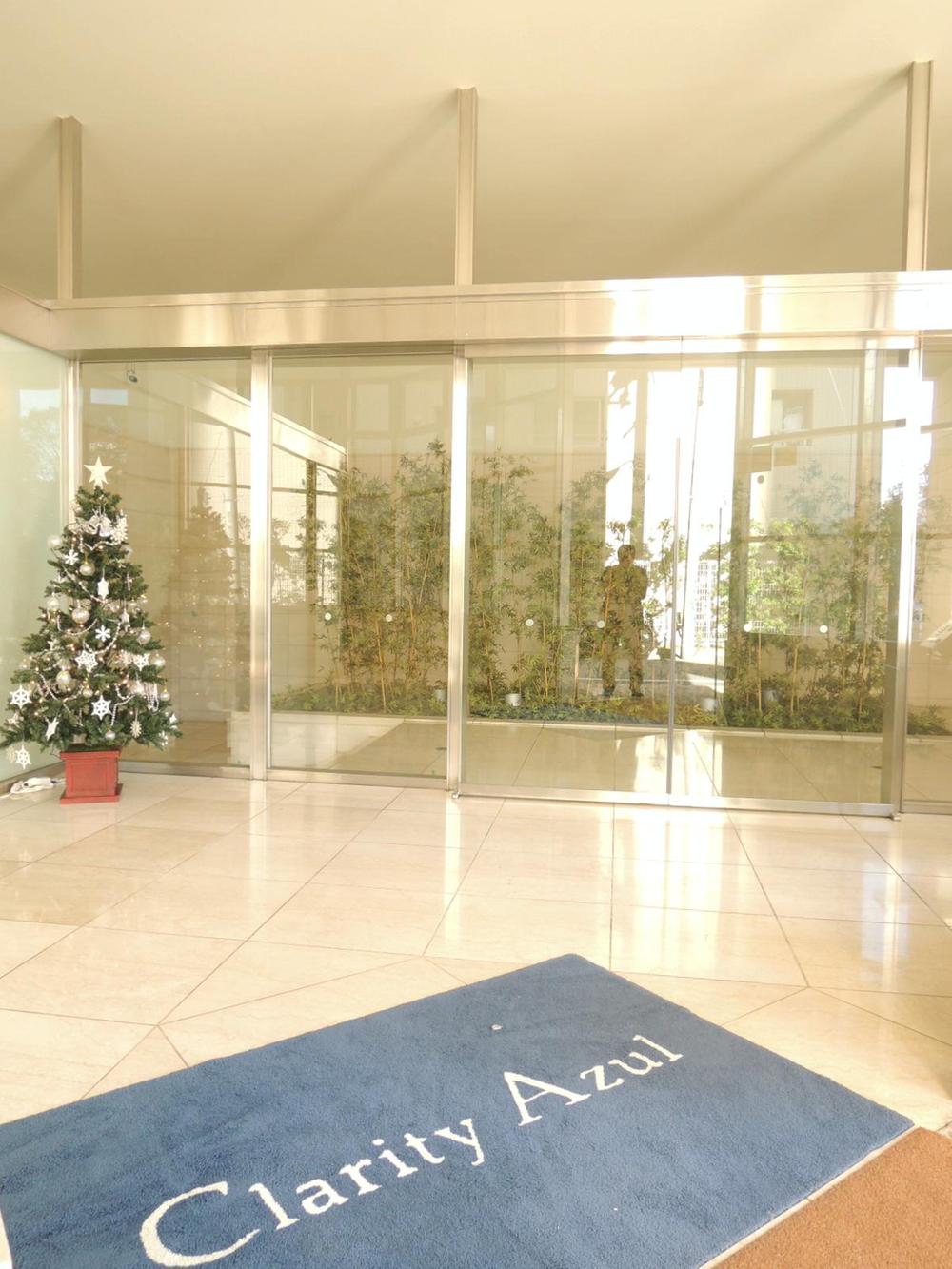 Entrance. Common areas