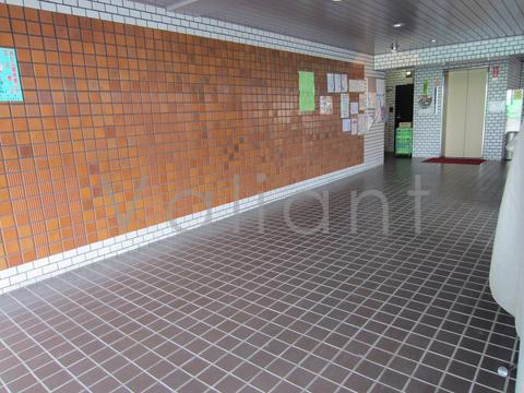 Entrance. Common areas