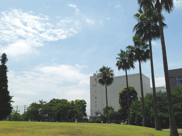 Surrounding environment. Toyomi Sports Park (about 290m ・ 4-minute walk)