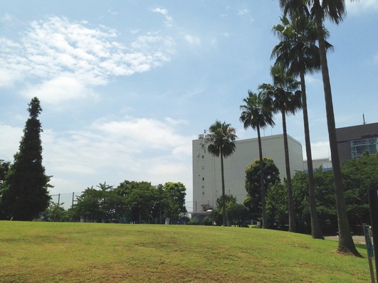 Toyomi Sports Park ※ About 290m / A 4-minute walk