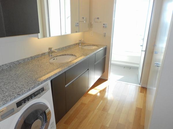 Wash basin, toilet. Powder Room