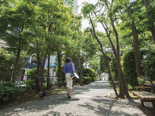 Surrounding environment. Hamacho green road (about 360m) ※ June 2013 shooting