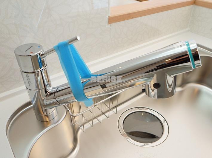 Kitchen. Water purifier shower head