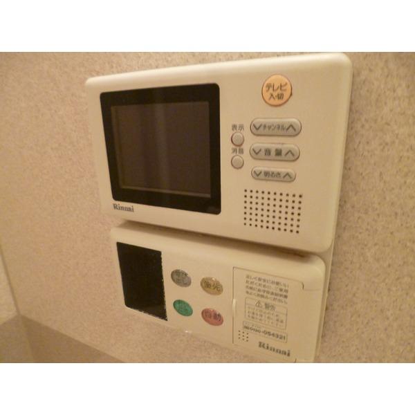 Other introspection. Digital terrestrial TV bathroom