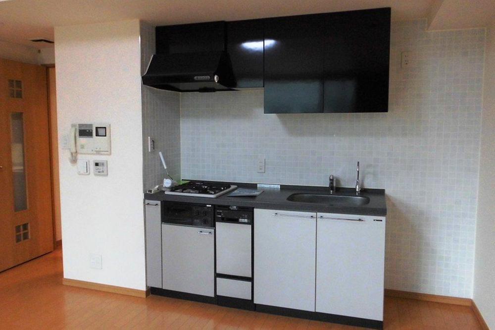 Kitchen. Indoor (10 May 2013) Shooting