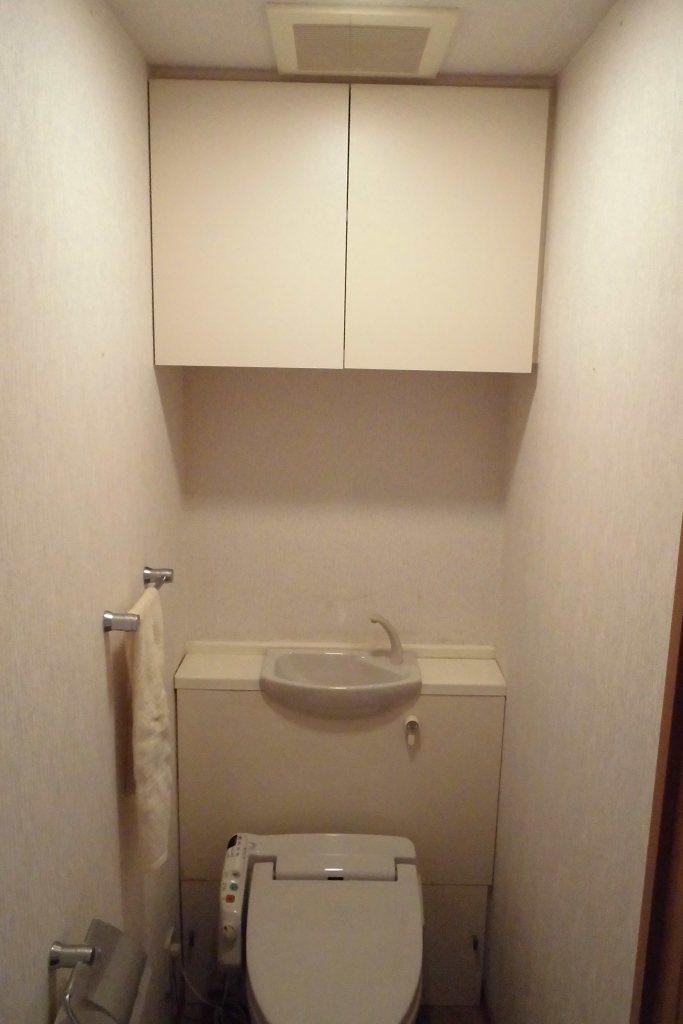 Toilet. Indoor (10 May 2013) Shooting