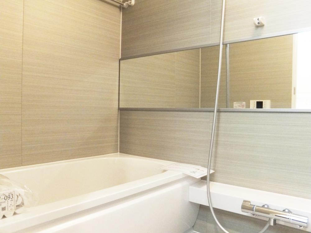 Bathroom. Indoor (12 May 2013) Shooting