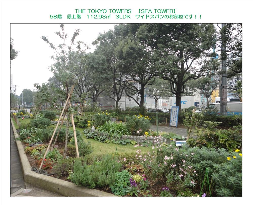 Other common areas. Common area (November 2013) Shooting