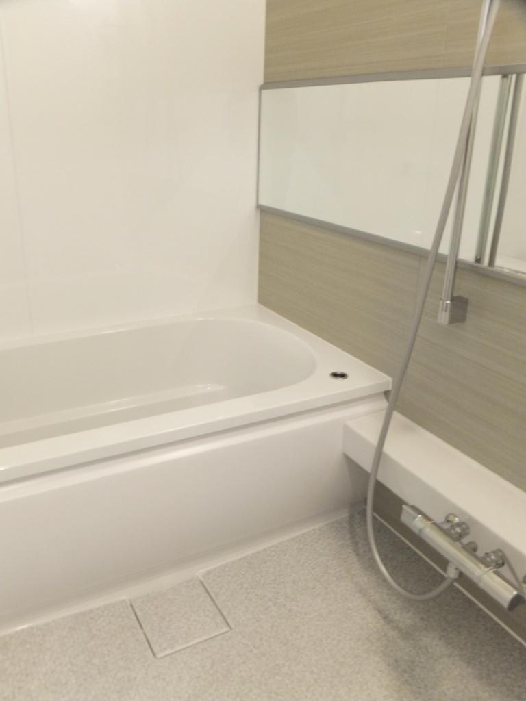 Bathroom. Indoor (11 May 2013) Shooting