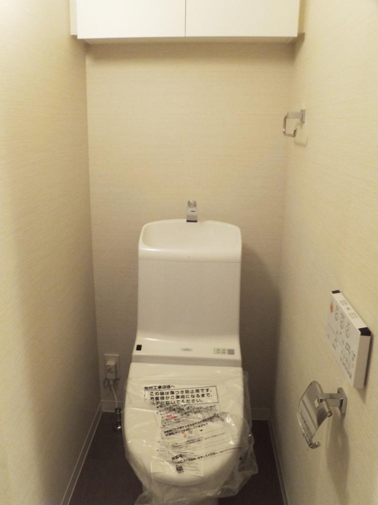 Toilet. Indoor (11 May 2013) Shooting