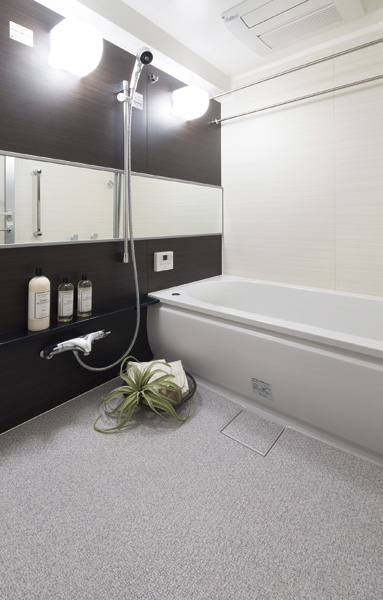 Bathroom equipped with a mist sauna