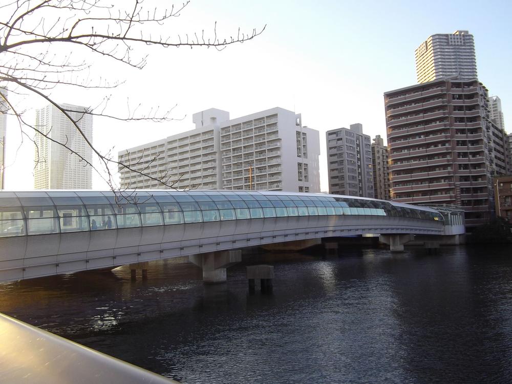 Other. Surrounding environment