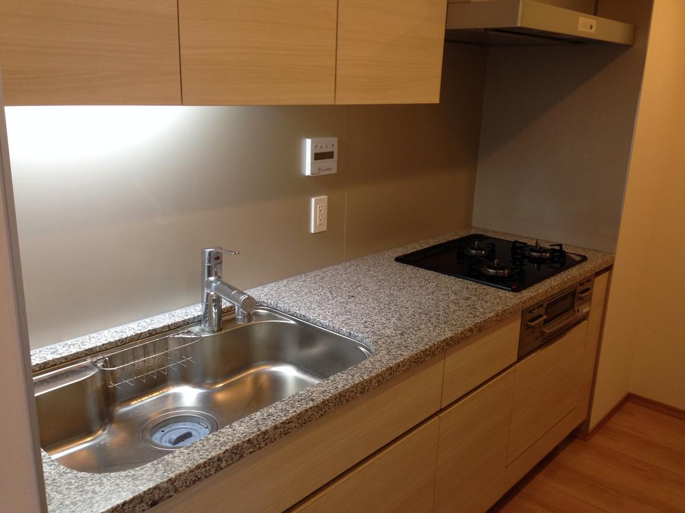 Kitchen. Indoor (11 May 2013) Shooting