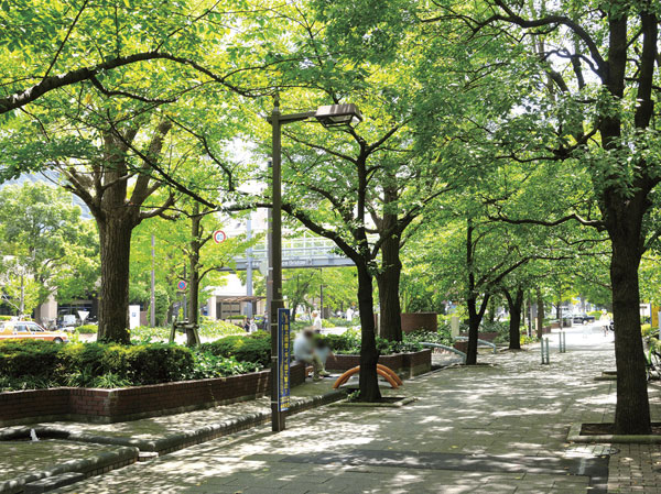 Surrounding environment. St. Luke's International Hospital before tree-lined street (about 120m, A 2-minute walk)