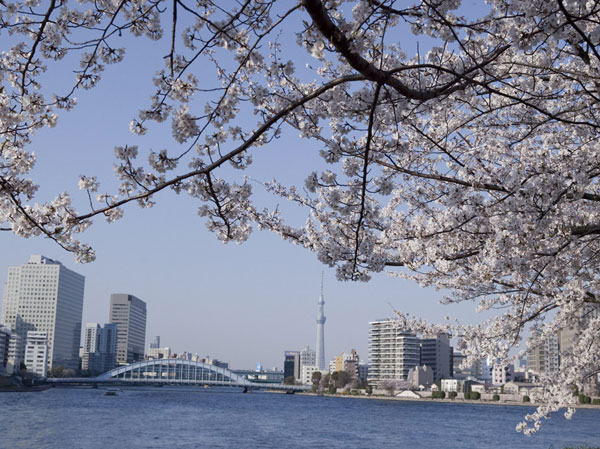 Surrounding environment. Ishikawa Island park (about 1220m, 16-minute walk)