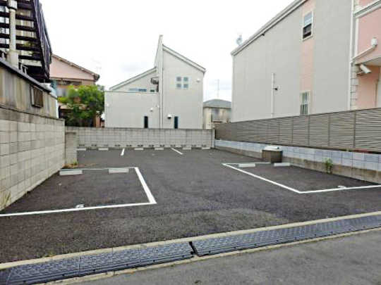 Local land photo. appearance