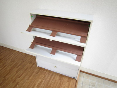 Entrance. Entrance with a shoe box