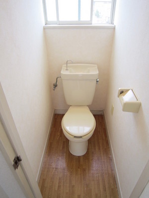 Toilet. Bright toilet