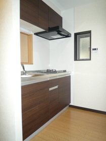 Kitchen. Kitchen recommended two-burner stove is a city gas