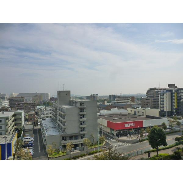 Other introspection. View