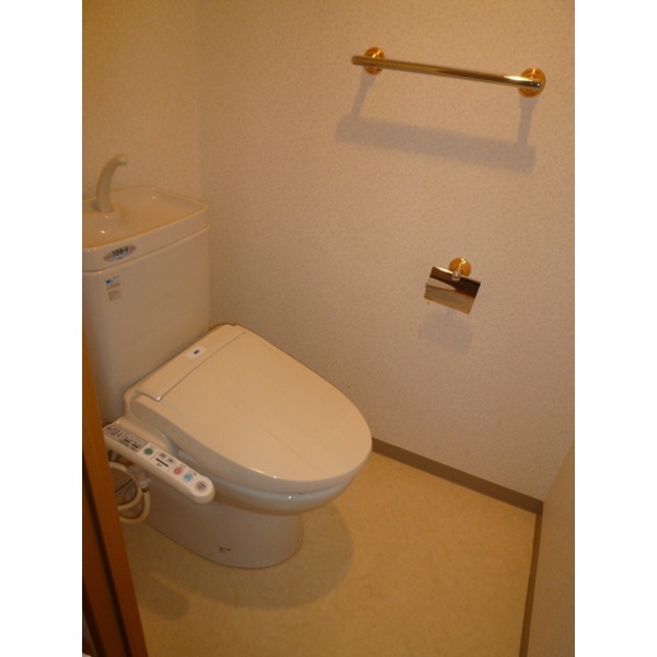 Toilet. Shower toilet