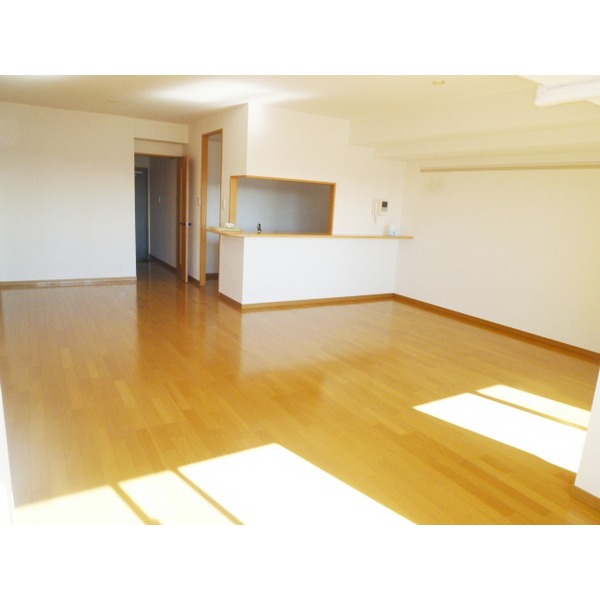 Living and room. Face-to-face kitchen