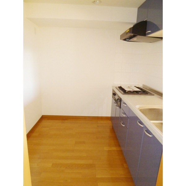 Kitchen. Kitchen space