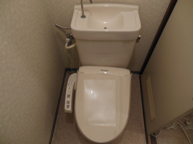 Toilet. With cleaning toilet seat
