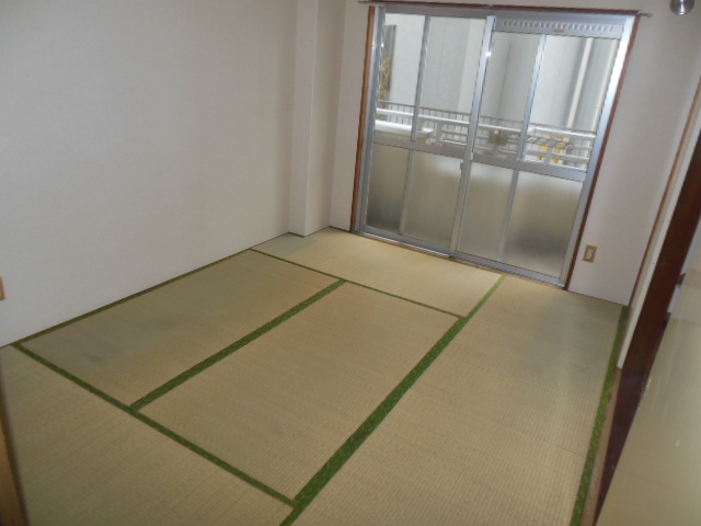 Other room space. Japanese style room