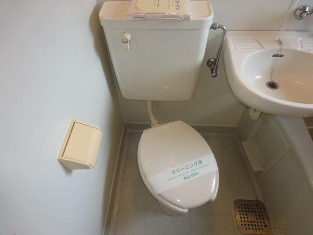 Toilet. Western-style toilet