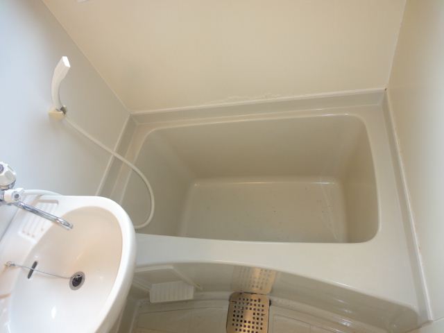 Bath. With bath shower