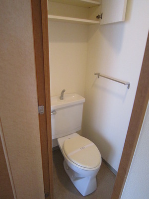 Toilet. With shelf on the top