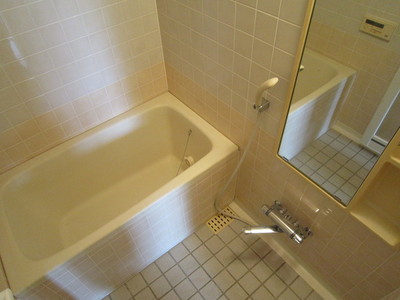 Bath. Bathroom with cleanliness