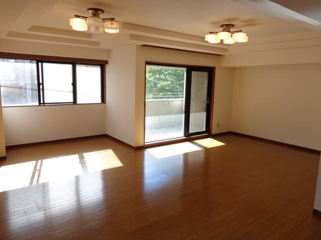 Living and room. LDK