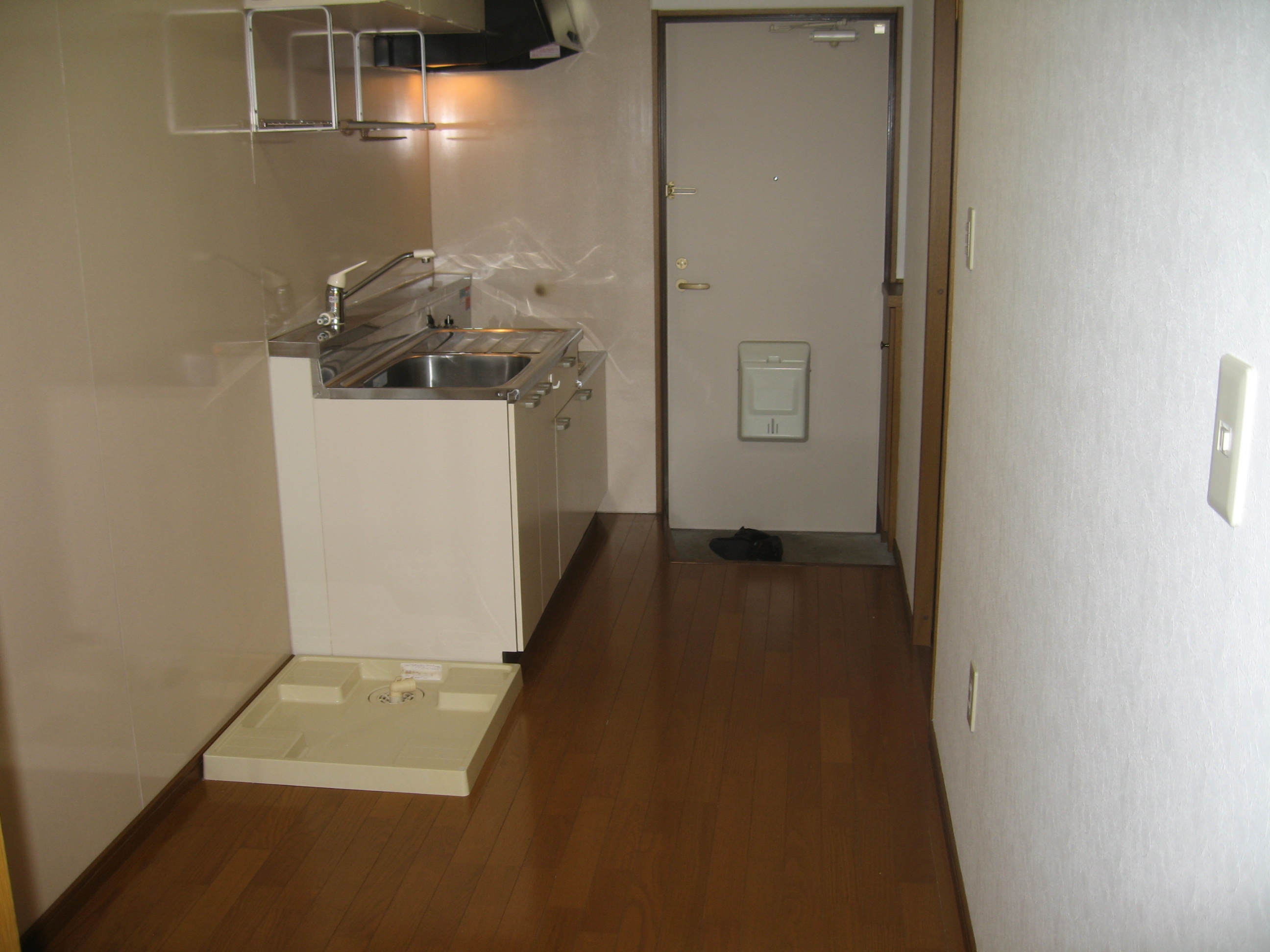 Living and room. Kitchen space of spread