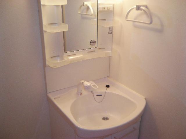 Washroom. Shampoo dresser